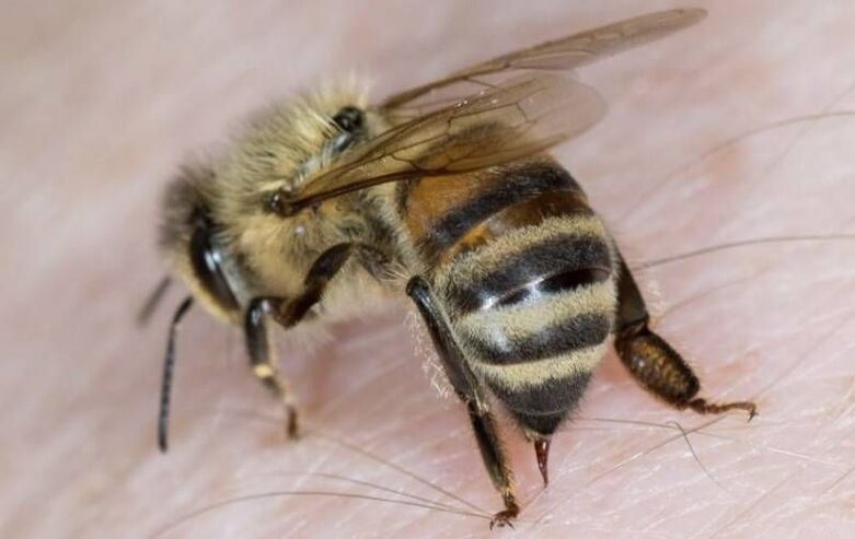 mesindussaadused peenise suurendamiseks